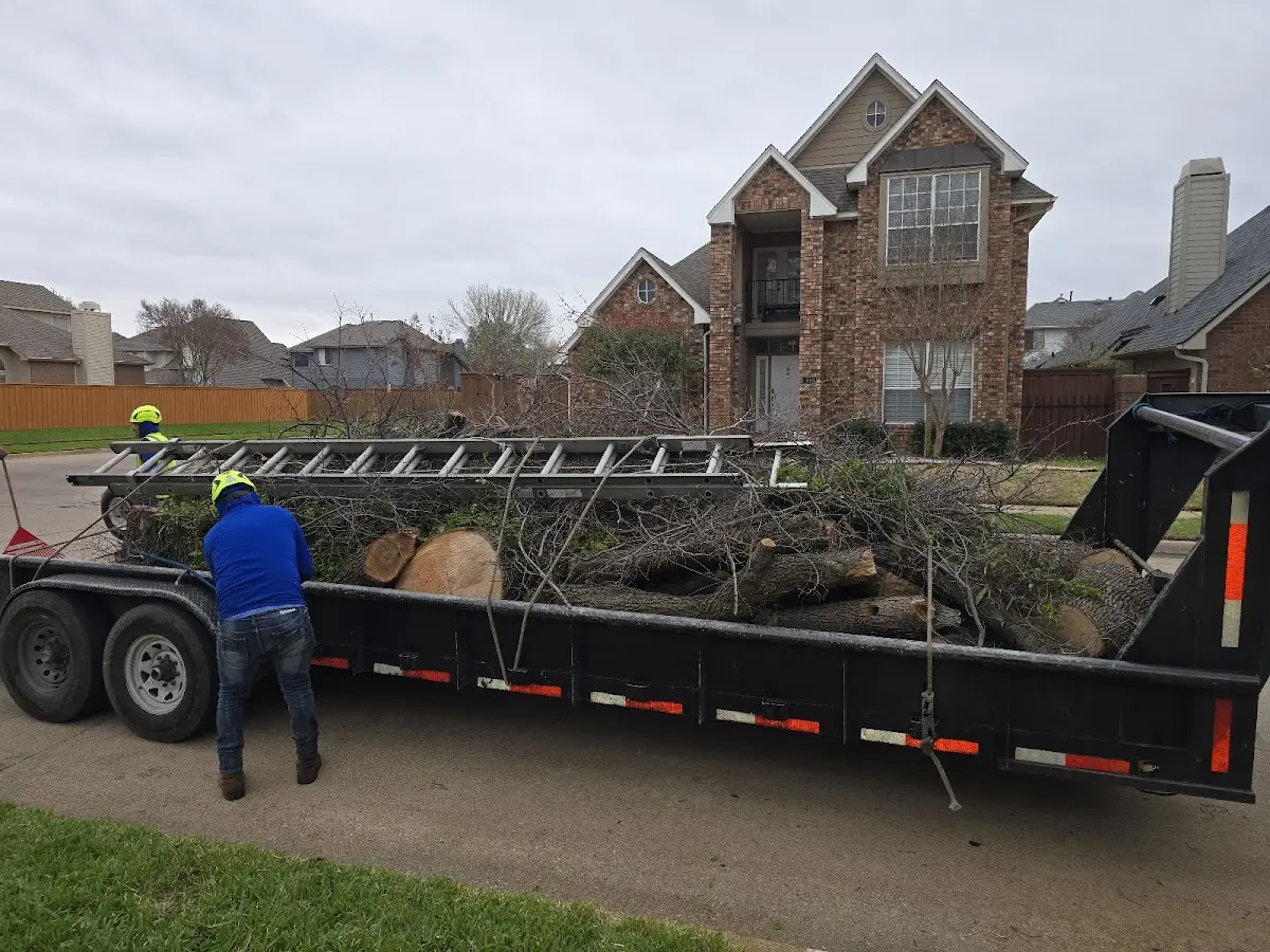 Expert Crown Reduction with proper safety equipment in Greenway